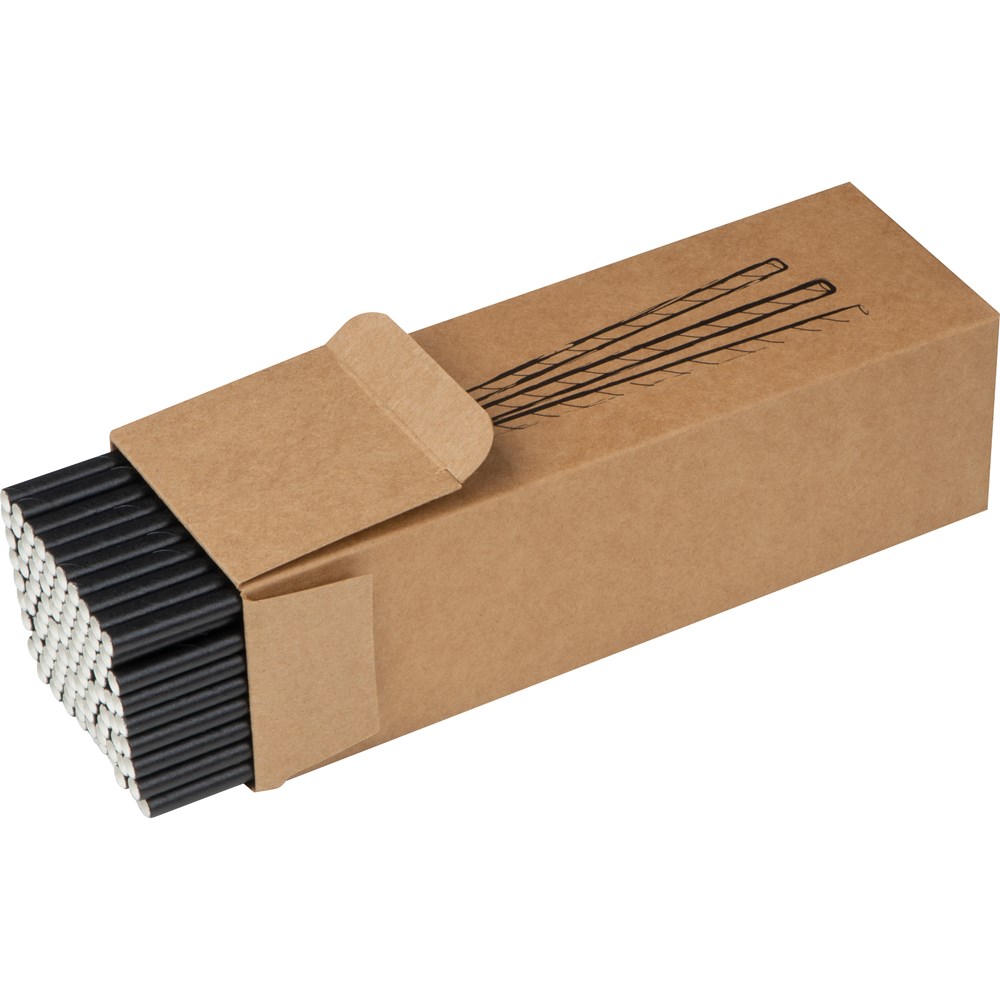 100er Set Trinkhalme aus Papier CARTER - Schwarz